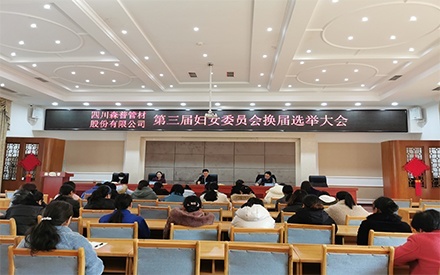 重庆四川问鼎娱乐股份有限公司第三届妇女委员会和第四届团委委员会换届选举大会顺利召开