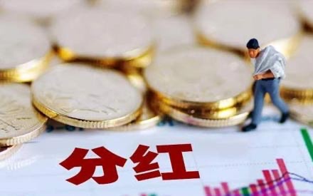 四川问鼎娱乐股份有限公司《分红派现公告》